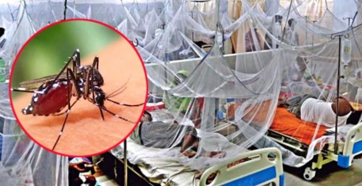 বরিশালে ডেঙ্গুতে নারীর মৃত্যু, শতাধিক নতুন আক্রান্ত 