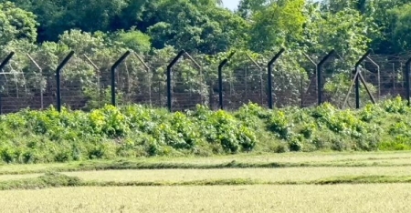 ফেনী সীমান্ত থেকে বাংলাদেশিকে ধরে নিয়ে গেল বিএসএফ