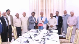 নির্বাচনের আগেই গণভোট আয়োজনের সুপারিশ