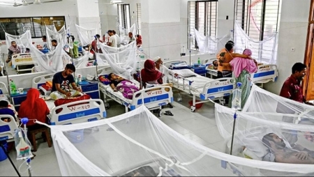 ডেঙ্গুতে এক দিনে ৫ জনের মৃত্যু, হাসপাতালে ৭৯২