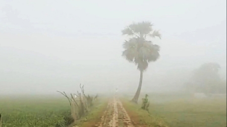 সপ্তাহ শেষে বাড়তে পারে শীতের তীব্রতা