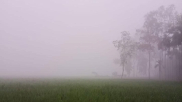 শীত কতদিন থাকবে জানাল আবহাওয়া অধিদপ্তর  